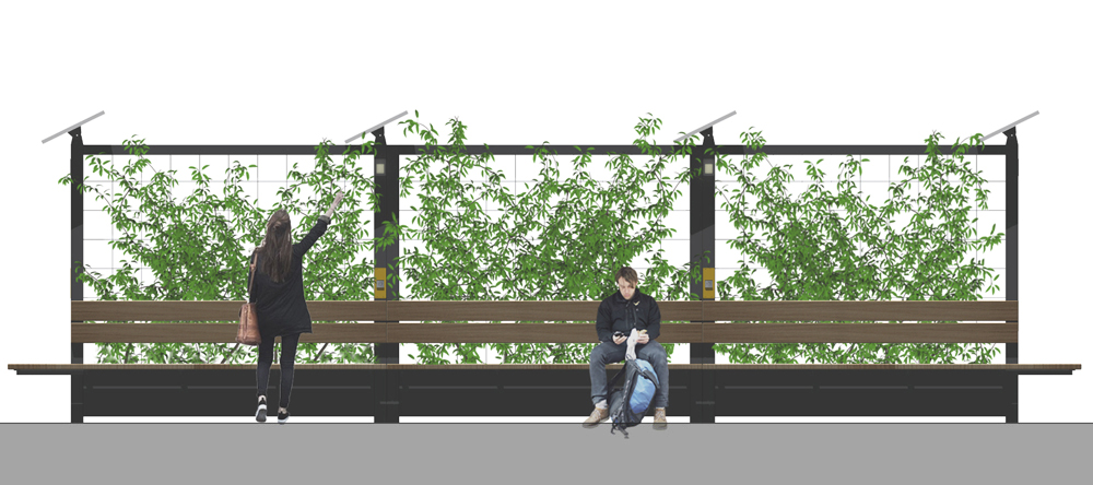 BANCVEGfront cont aa