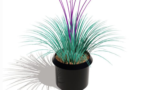 otidnegra