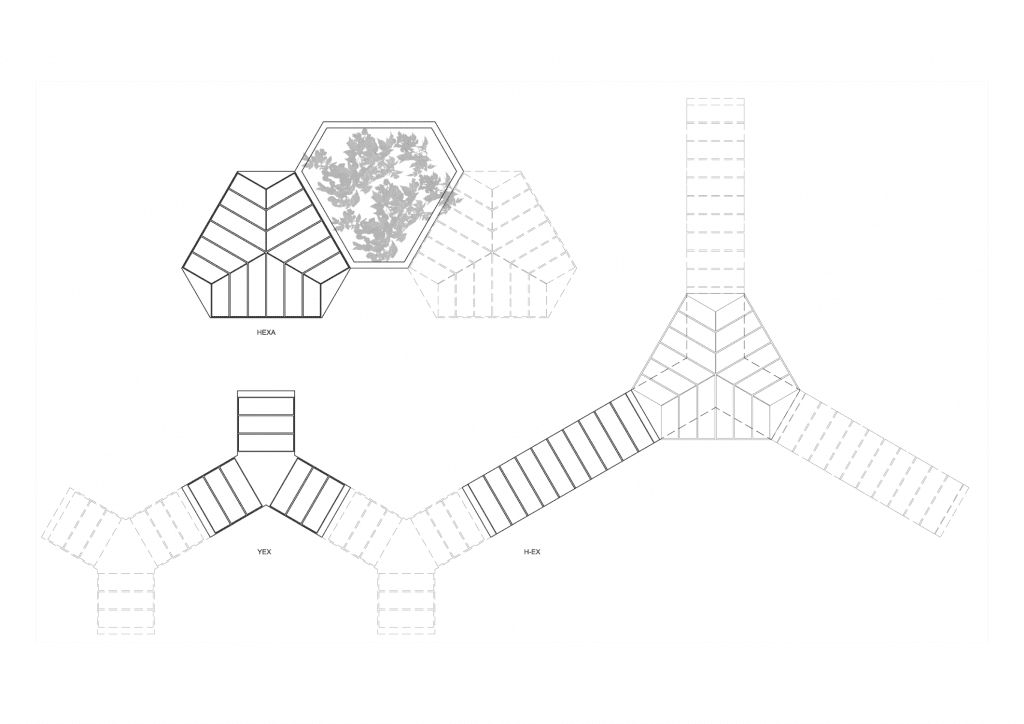 HEX Collection 1024x724