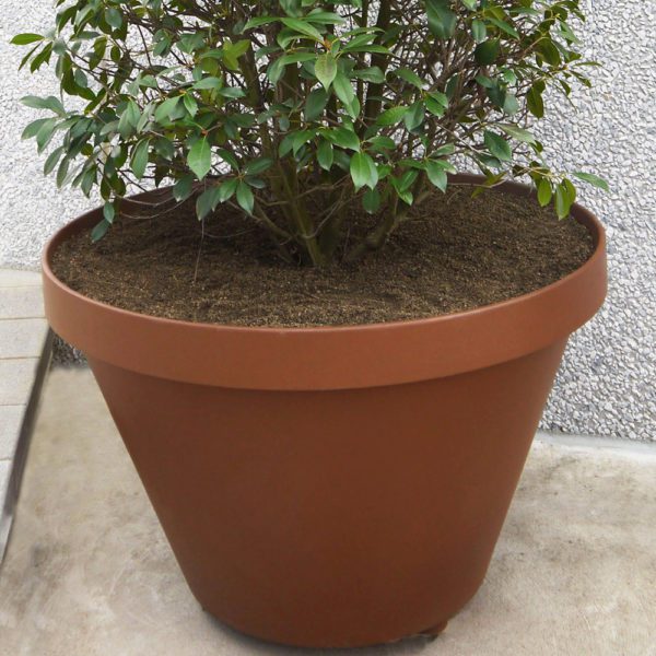 ITEST : JARDINI&Egrave;RE
